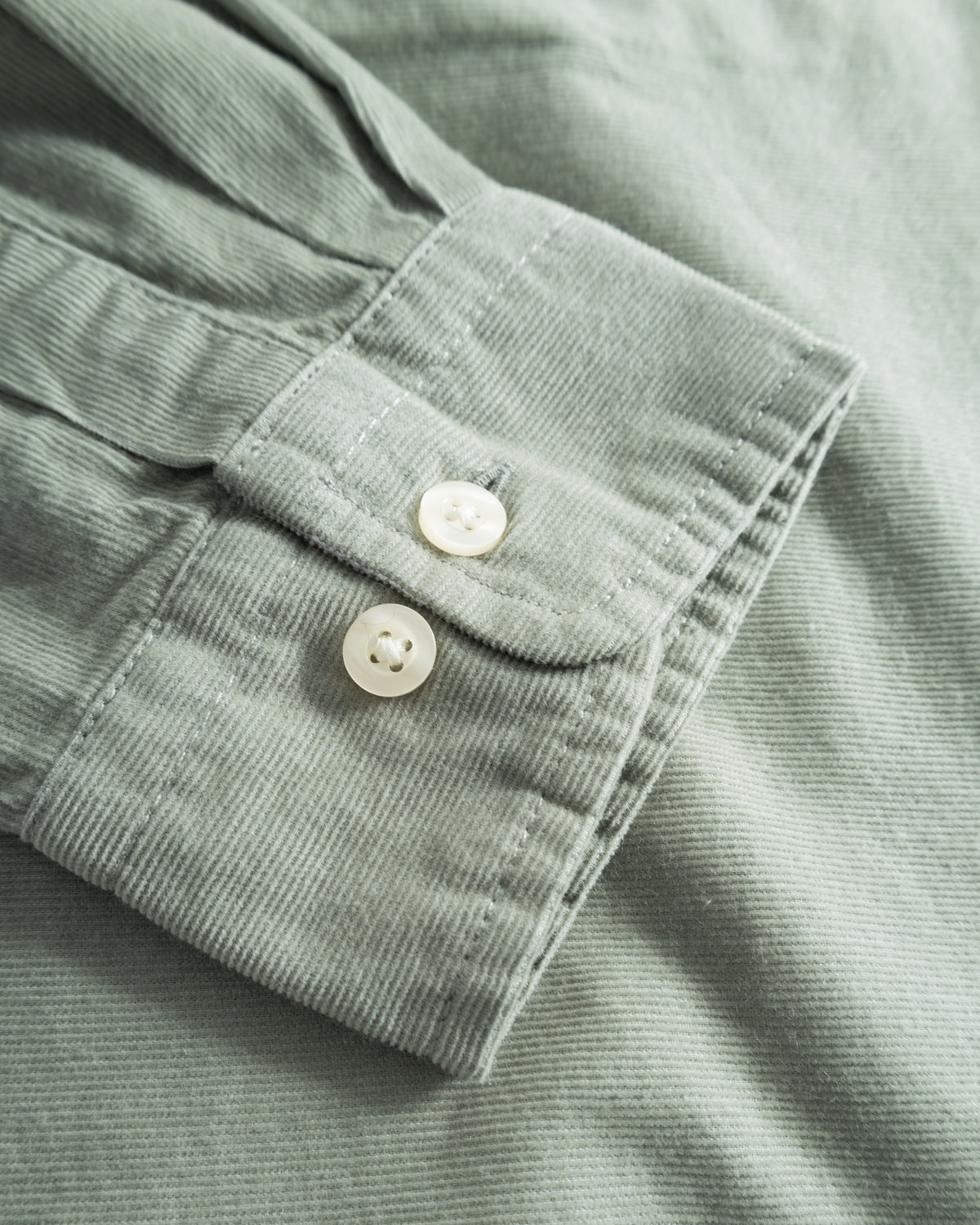 KnowledgeCotton Apparel - MEN Regular fit corduroy shirt Shirts 1396 Lily Pad